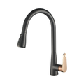 Livorno Premium Tap - Matte Black & Gold Pull-Out