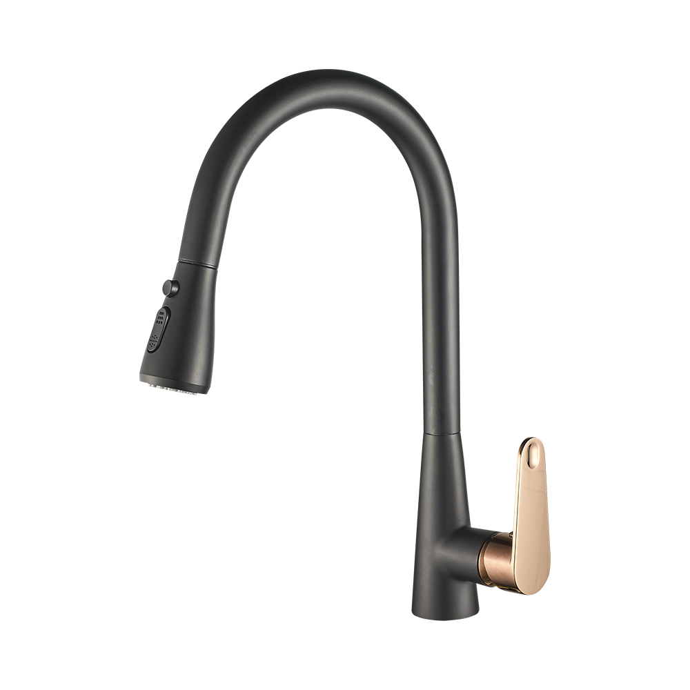 Livorno Premium Tap - Matte Black & Gold Pull-Out